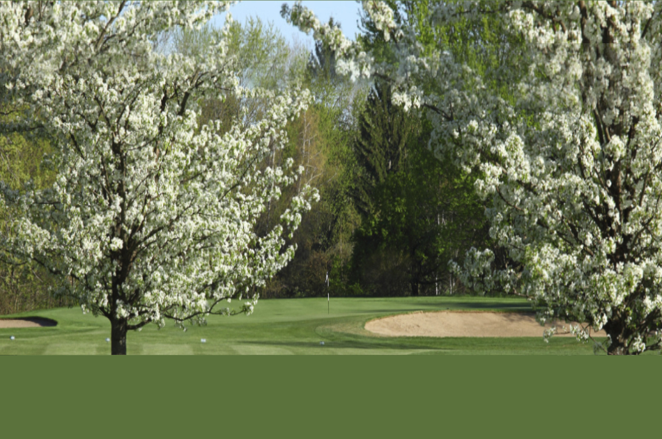 Saratoga Van Patten Golf Club