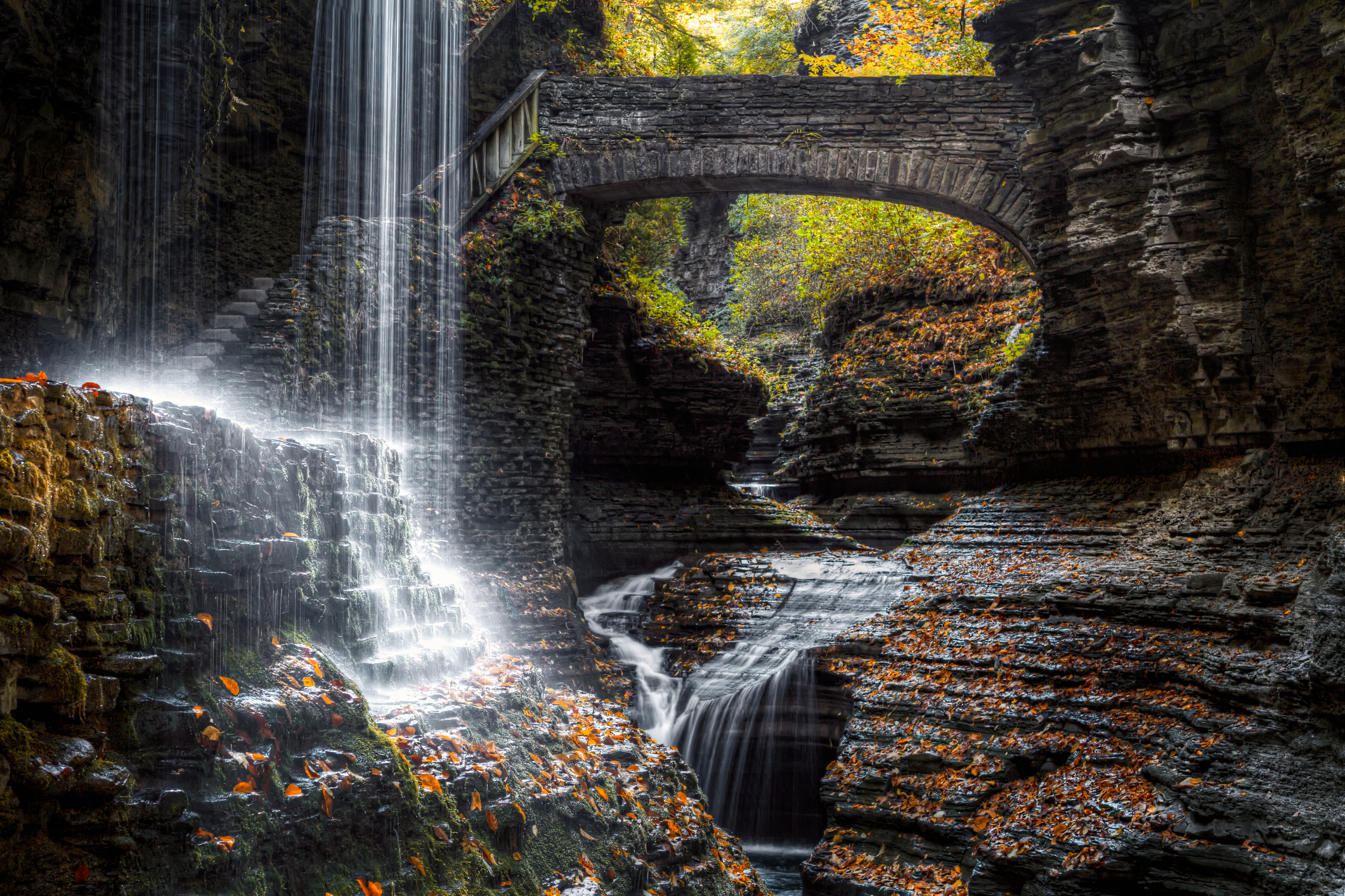 Things To Do in the Finger Lakes & Rochester