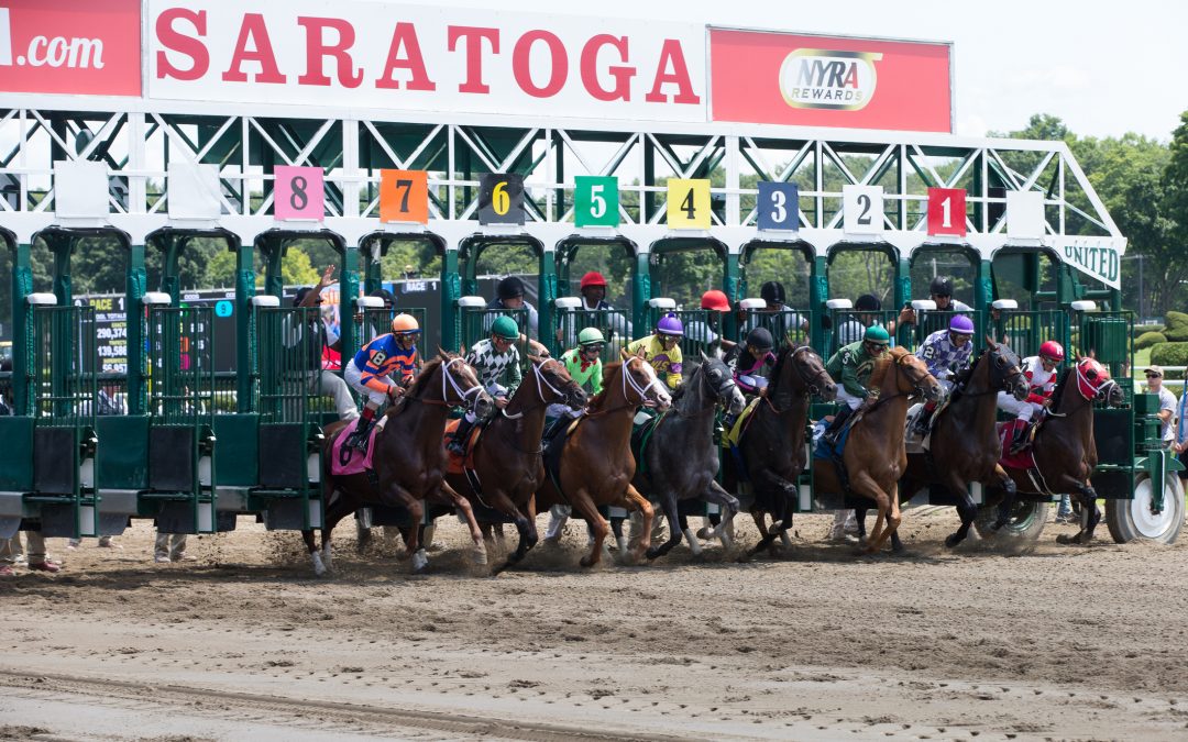 Things to Do in Saratoga