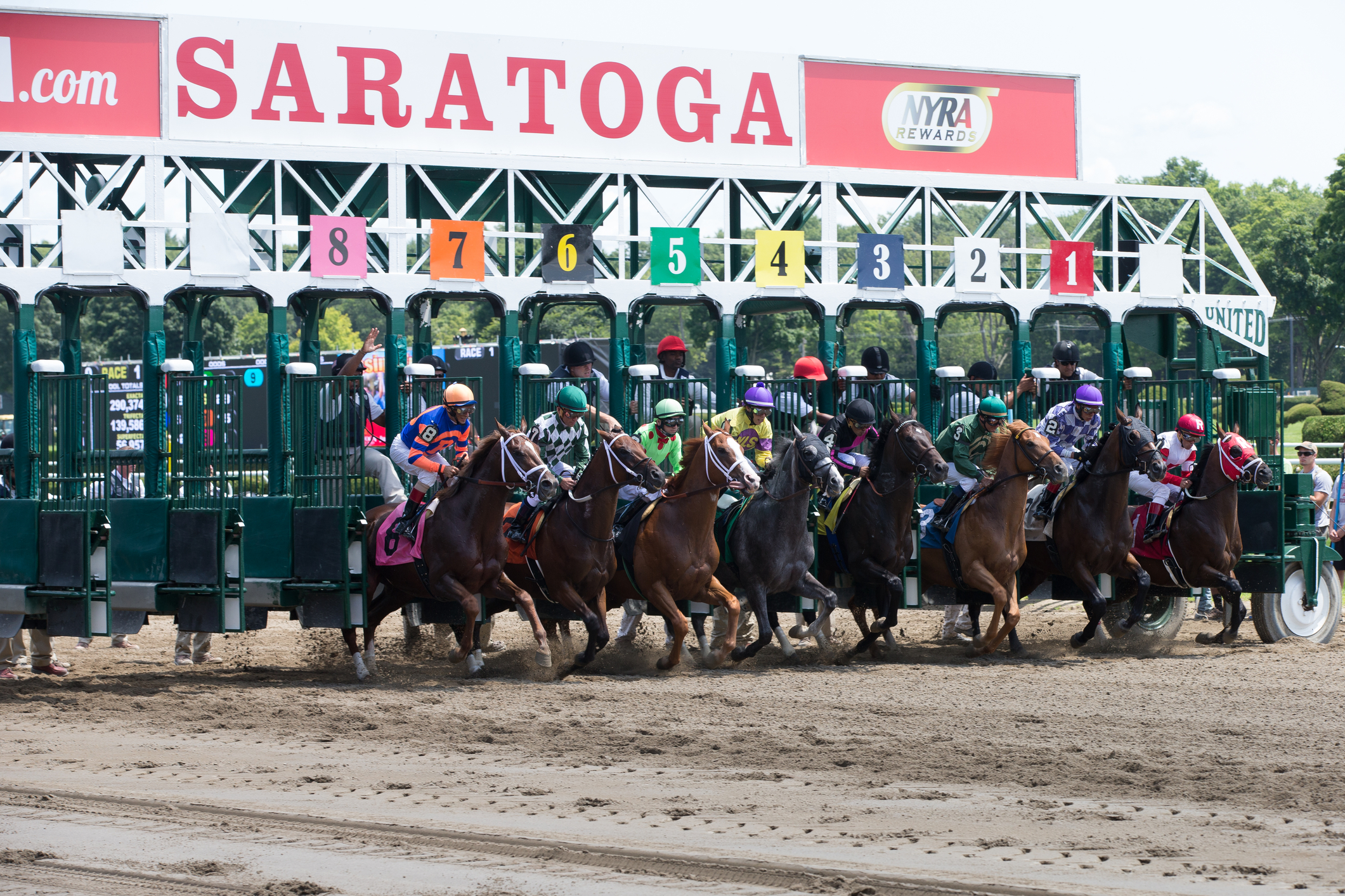 Things to do in Saratoga